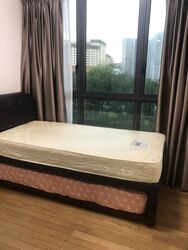 Botanique At Bartley (D19), Condominium #498173971